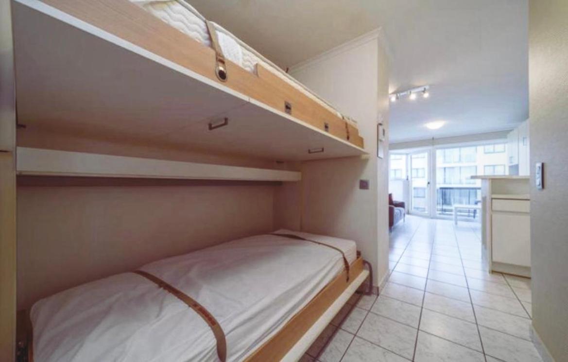 Sia - Lichtrijke Met Balkon Met Zijzeezicht In Hartje Apartamento De Panne