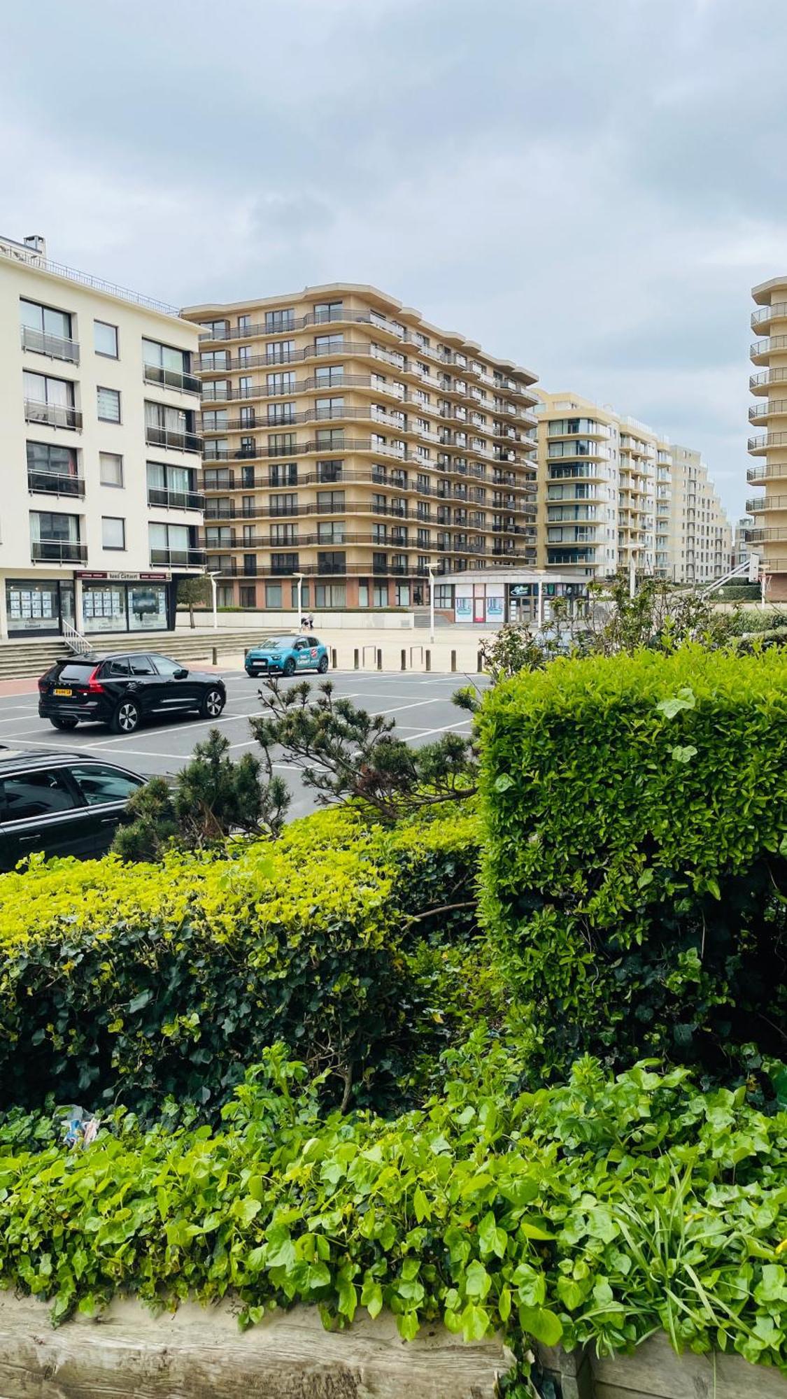 Apartamento Sia - Lichtrijke Met Balkon Met Zijzeezicht In Hartje De Panne
