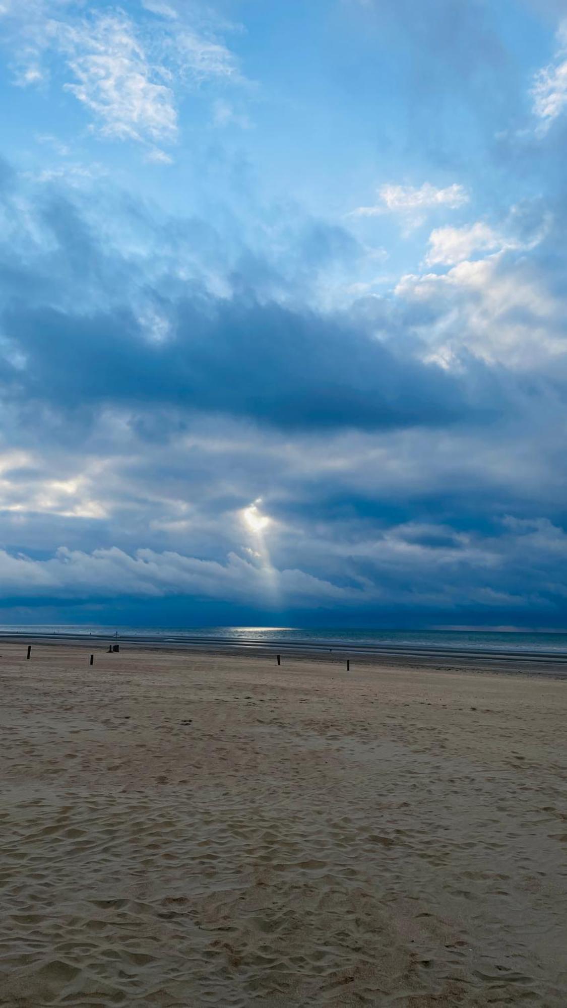 Appartement Sia - Lichtrijke Met Balkon Met Zijzeezicht In Hartje La Panne