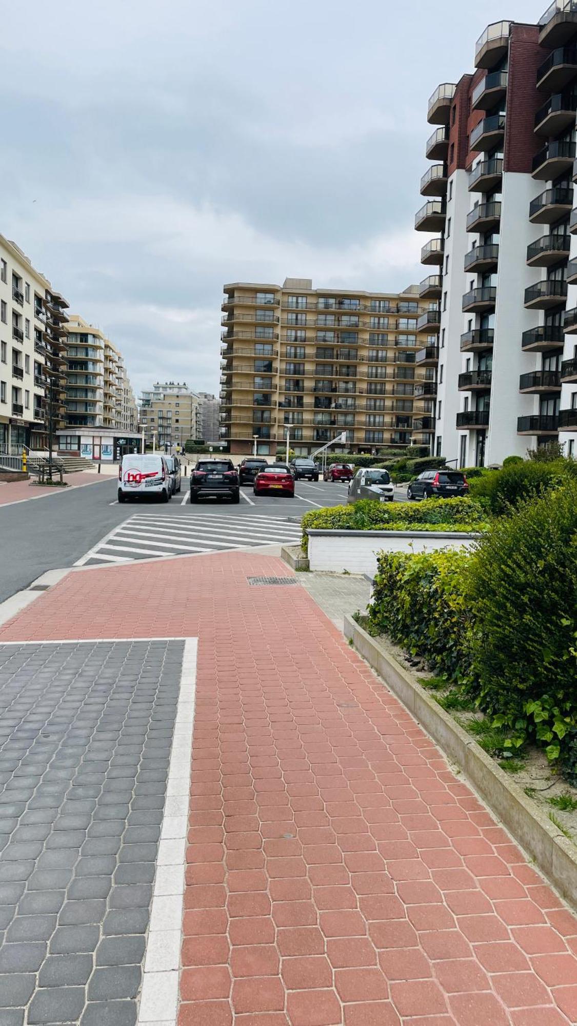 Appartement Sia - Lichtrijke Met Balkon Met Zijzeezicht In Hartje La Panne