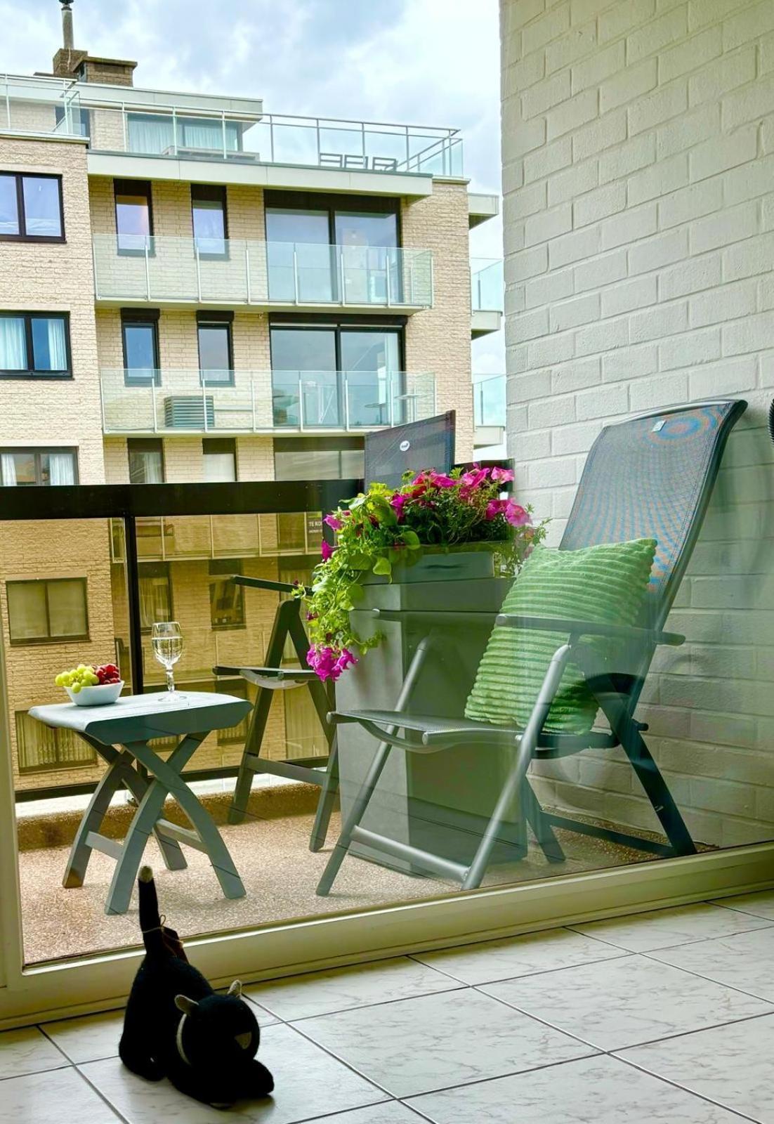 Sia - Lichtrijke Met Balkon Met Zijzeezicht In Hartje La Panne